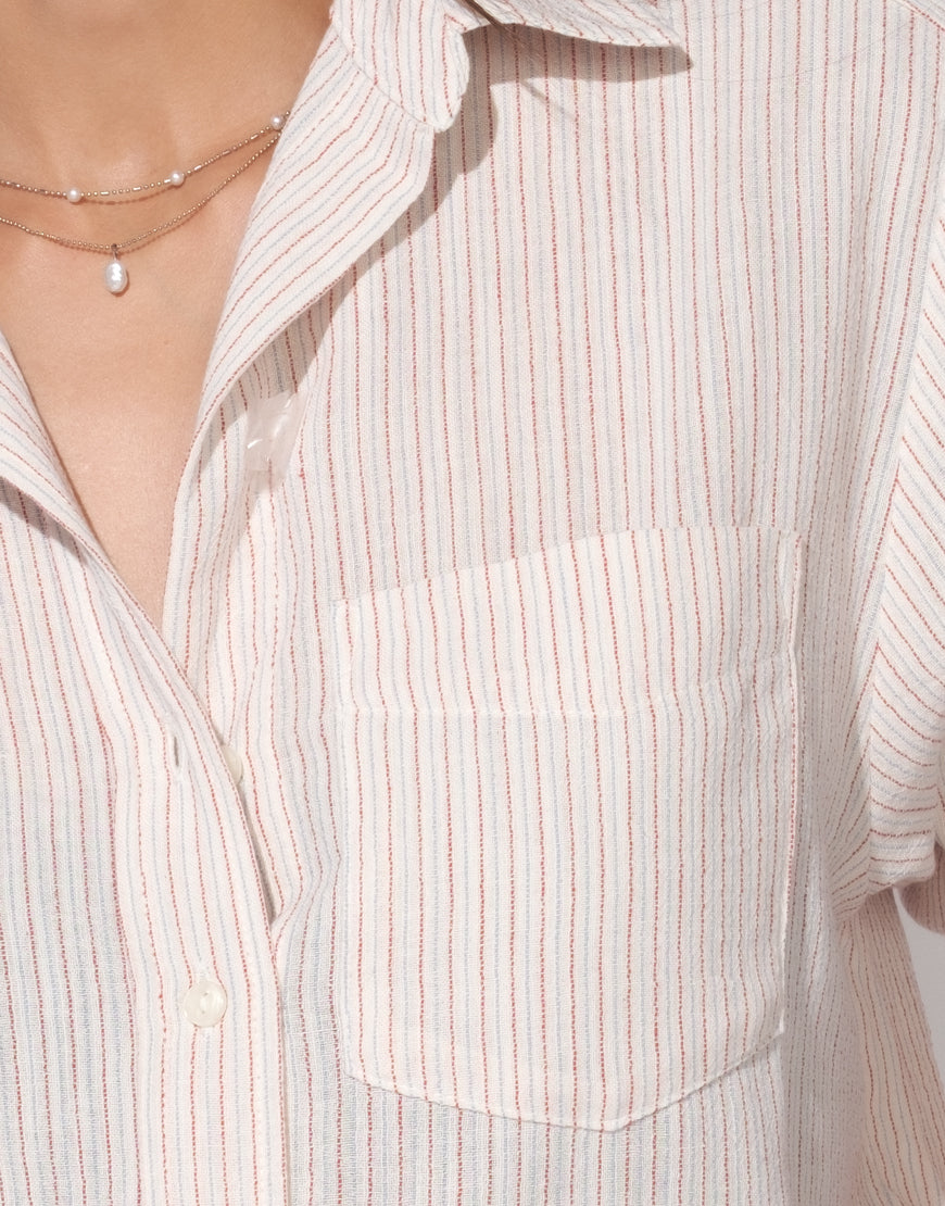 Tolin Shirt